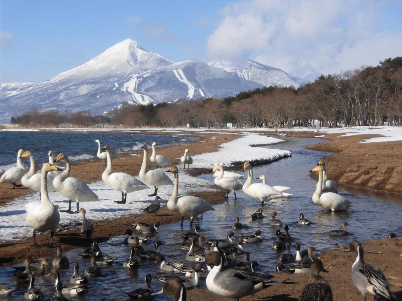 Hôtel Lakeside Banko à Inawashiro Extérieur photo